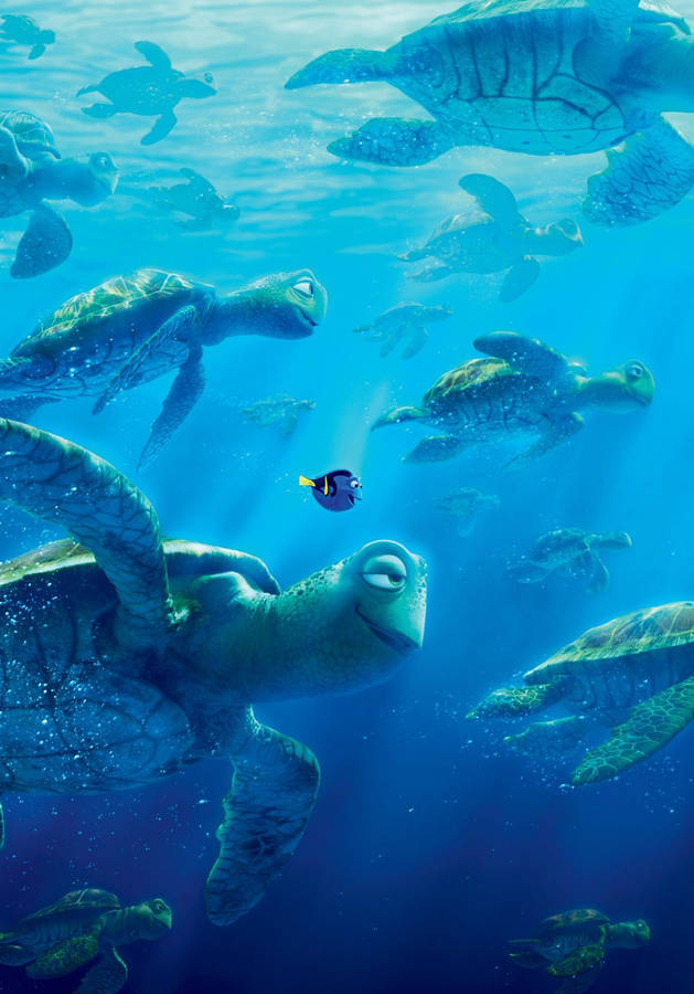 Nemo Ersm5r379j7qdlhf Wallpaper