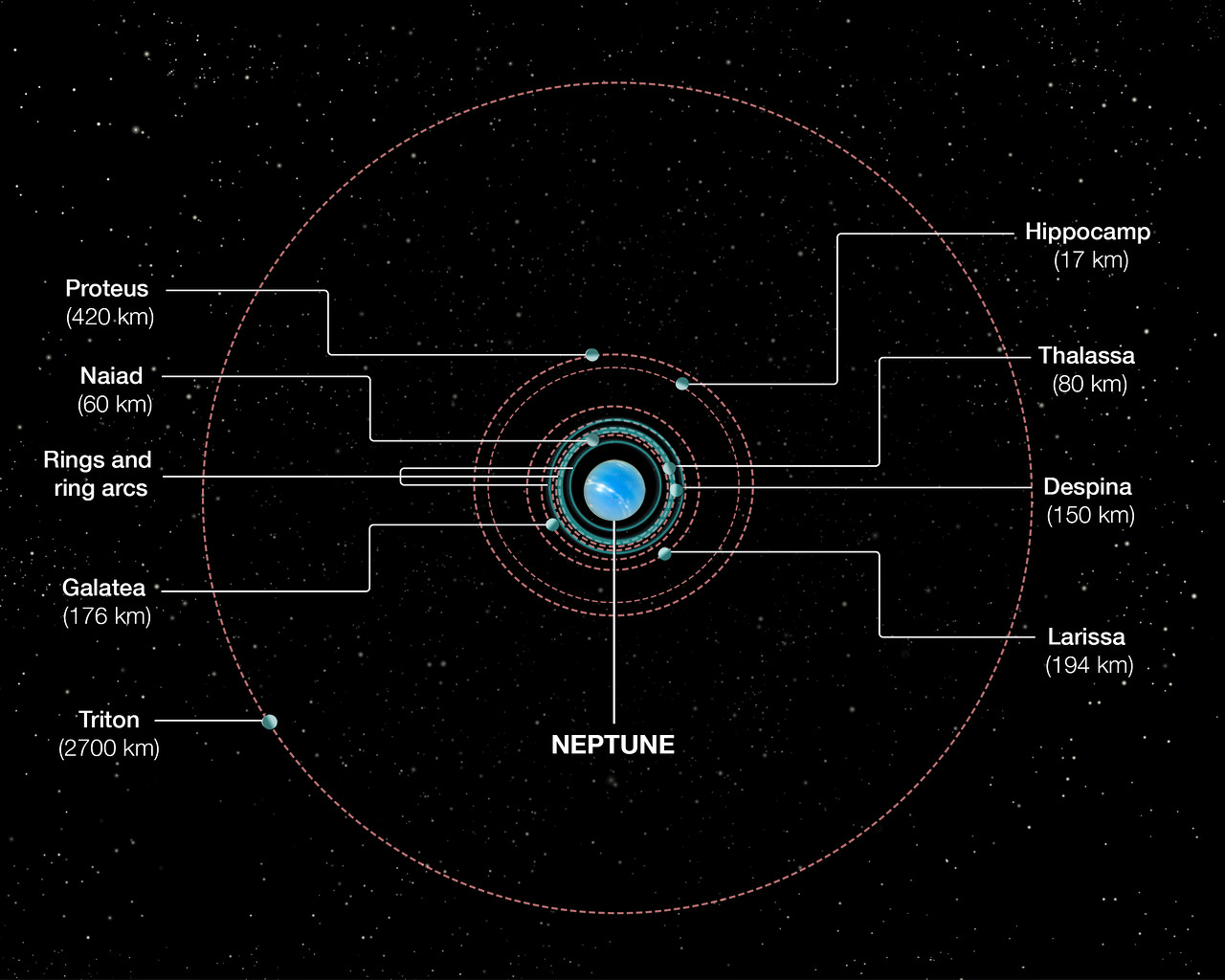 Orbits Of Neptune S Inner Moons Esa Hubble