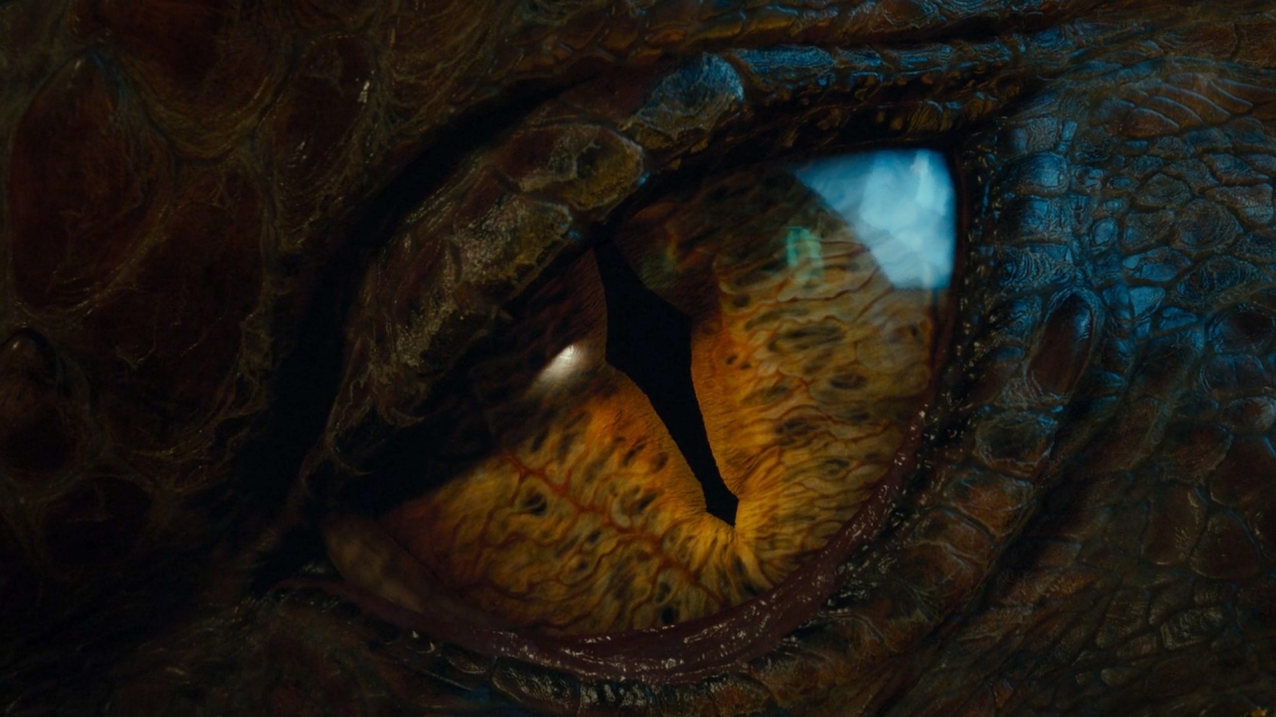Dragons The Hobbit Smaug Best Wallpaper Top For
