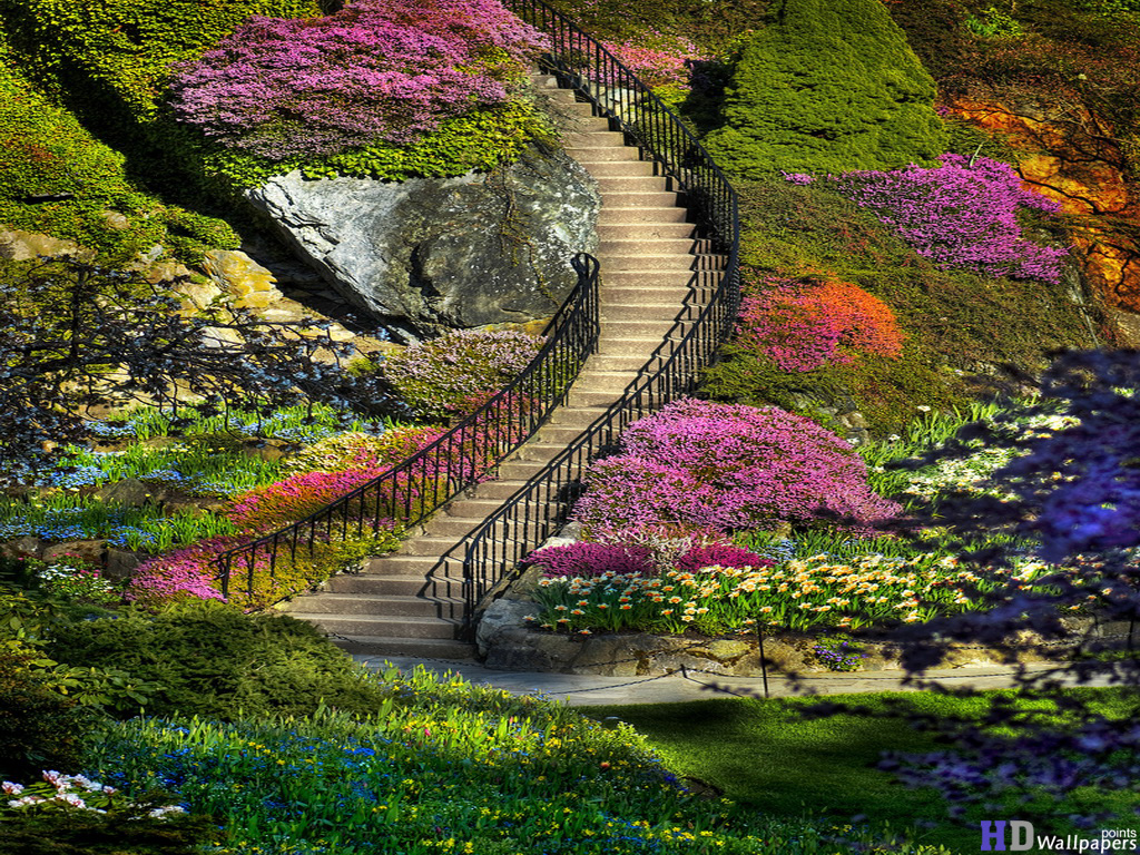 Untitled Garden Full HD Wallpaper For Computer