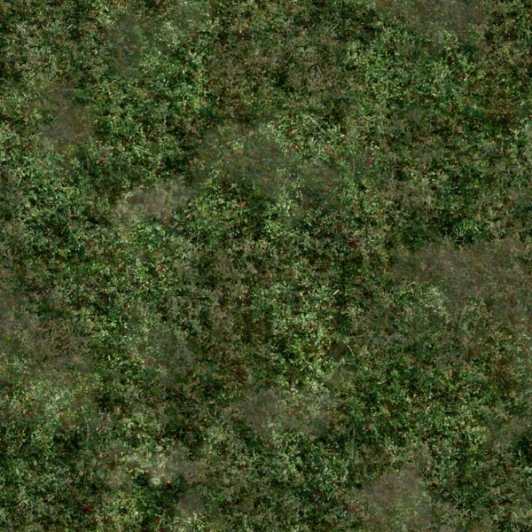 Grass Jungle Textures Wallpaper