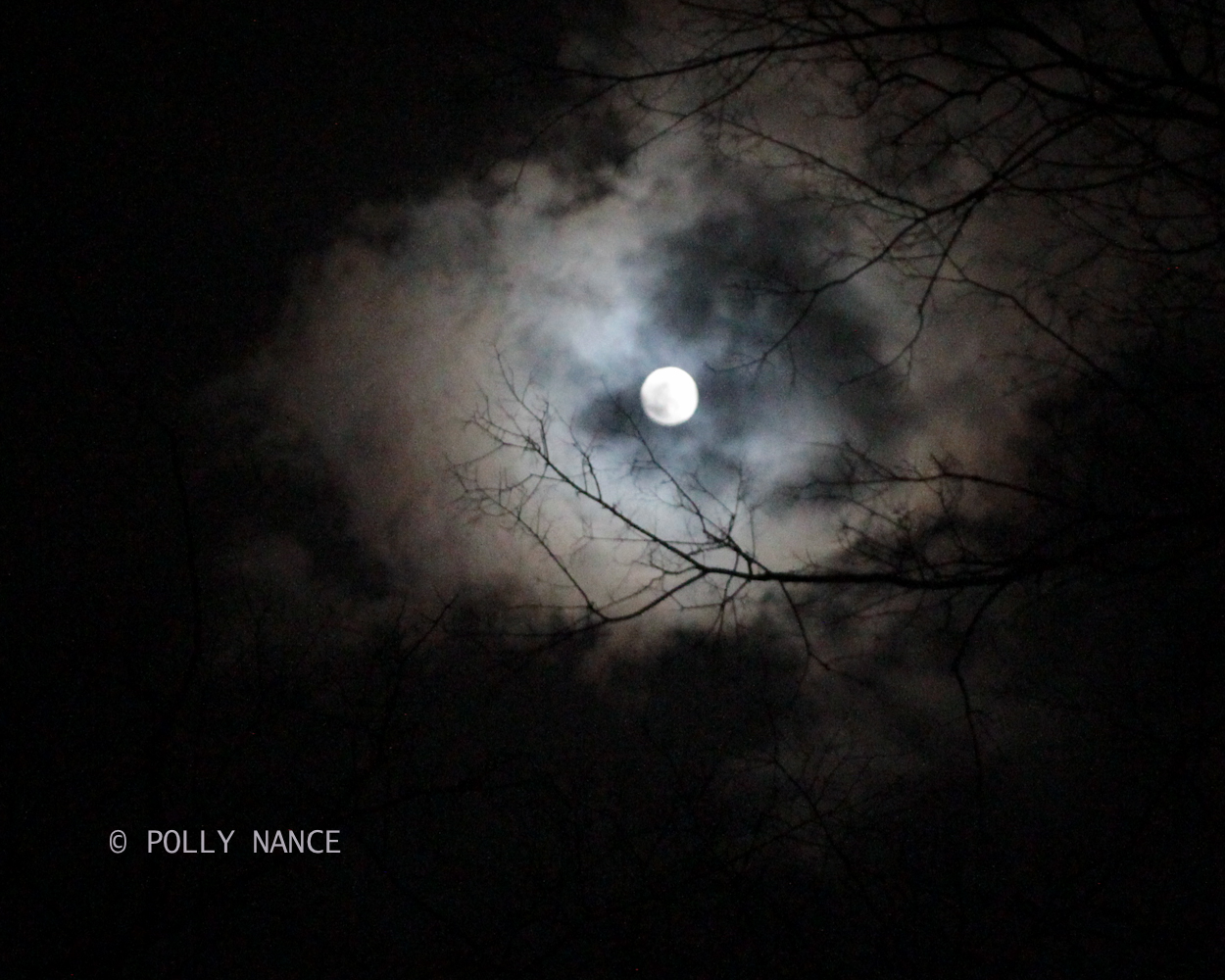 Cool Full Moon Pictures Creepy