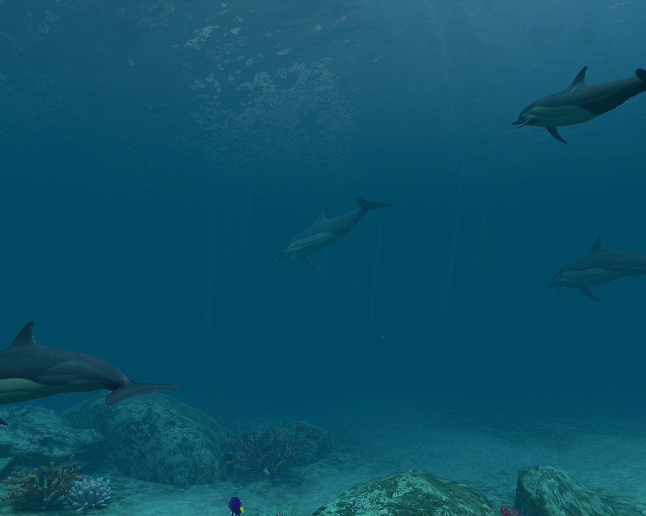 Dolphins 3d Screensaver And Animated Wallpaper Build Pc