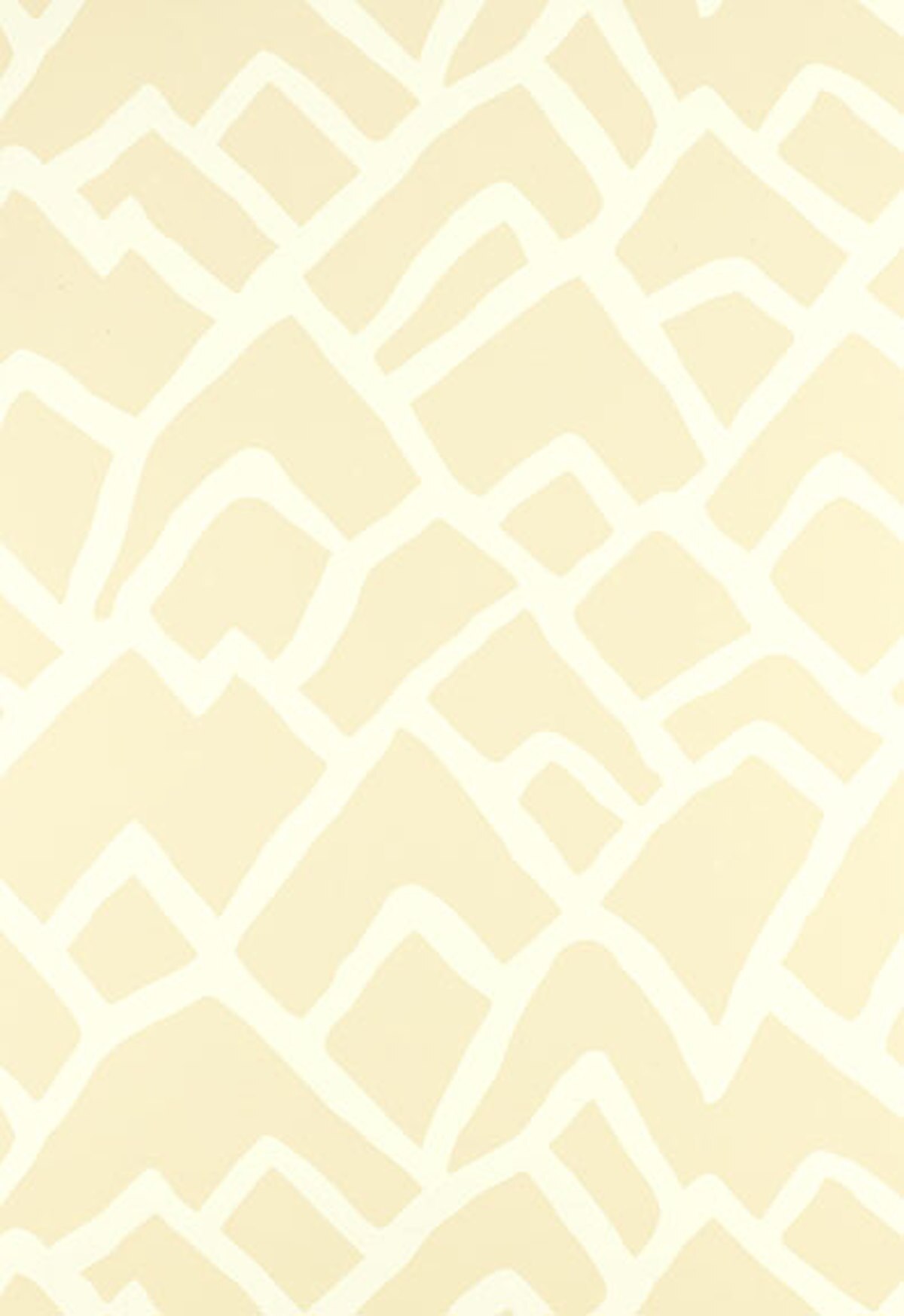 🔥 Download Schumacher Zimba Wallpaper by dfreeman Zimba Wallpapers