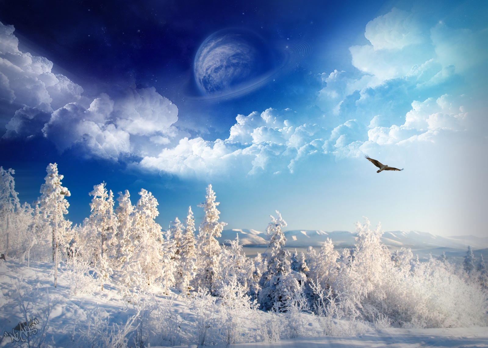 Free download Winter Wonderland Hintergrundbilder Winter Wonderland ...