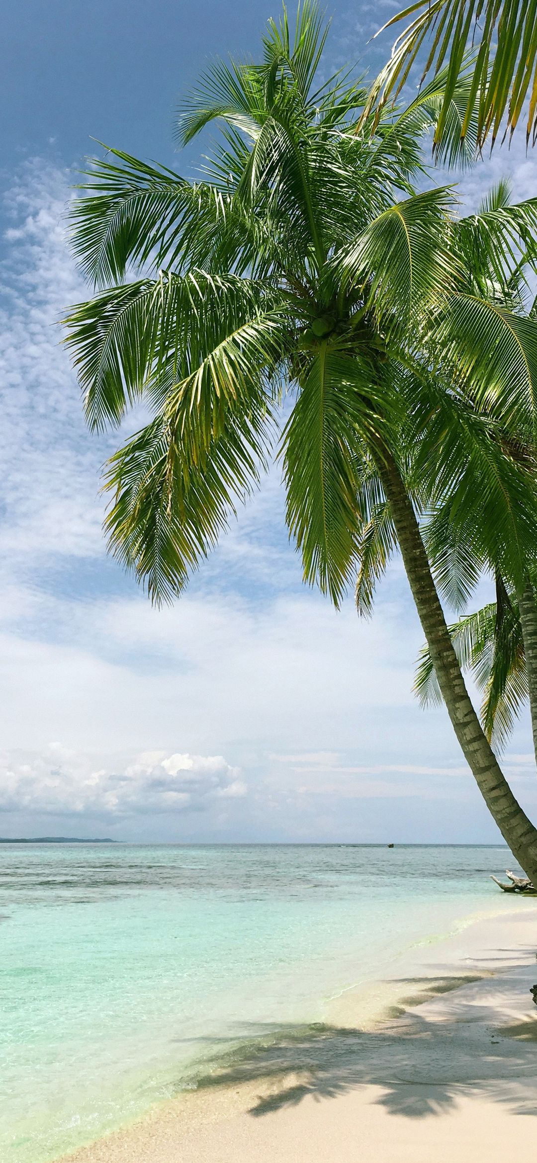 Beach Phone Wallpaper