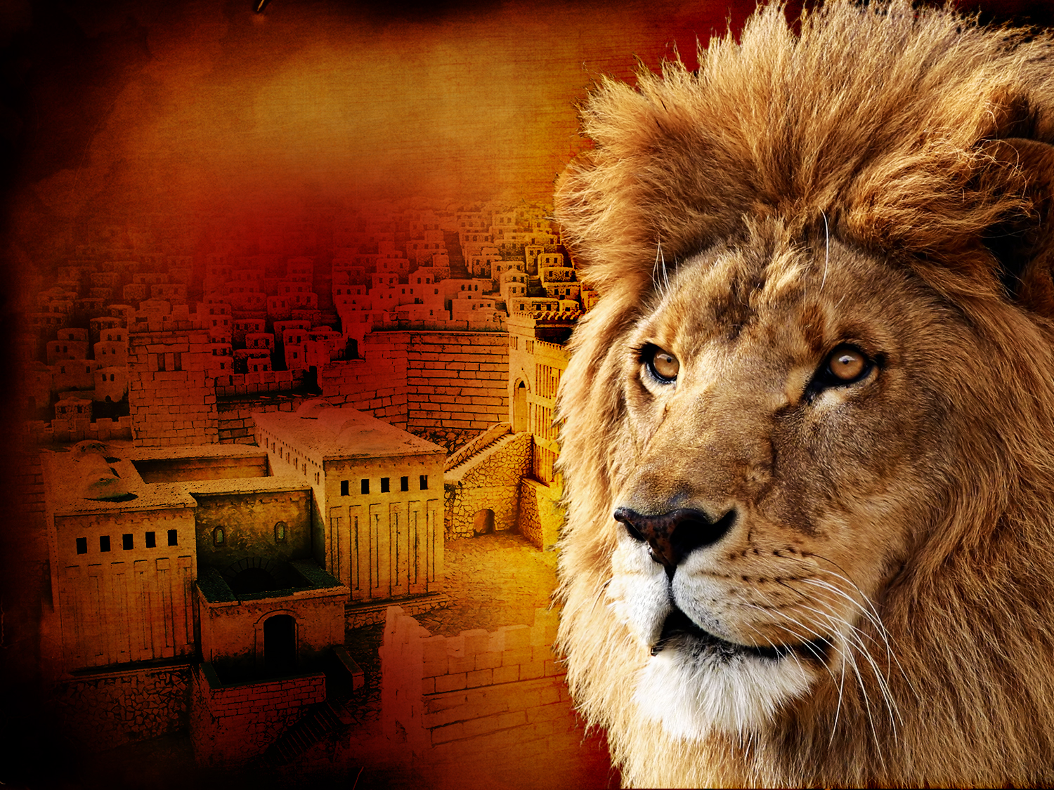 lion of judah travel