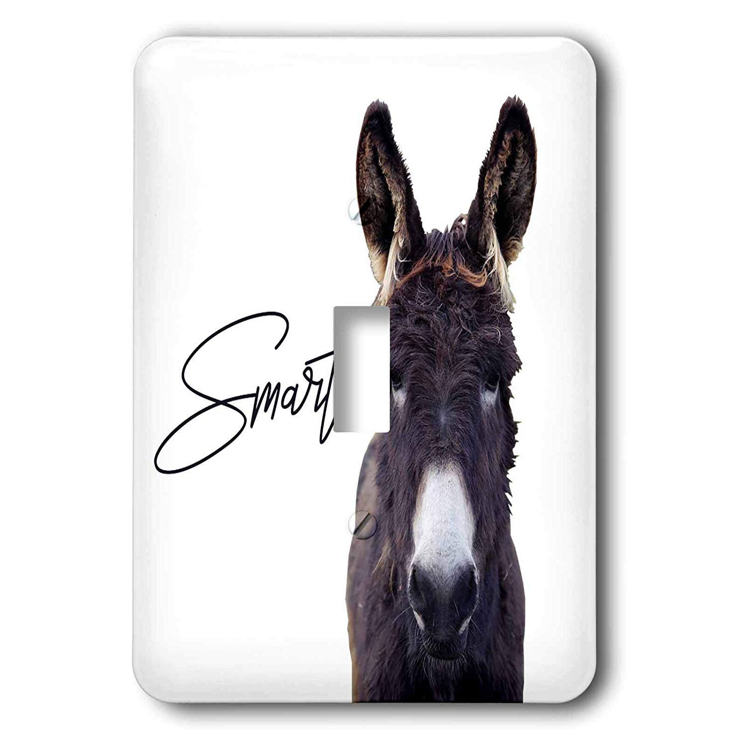 3drose Stamp City Typography Photograph Of A Donkey On White
