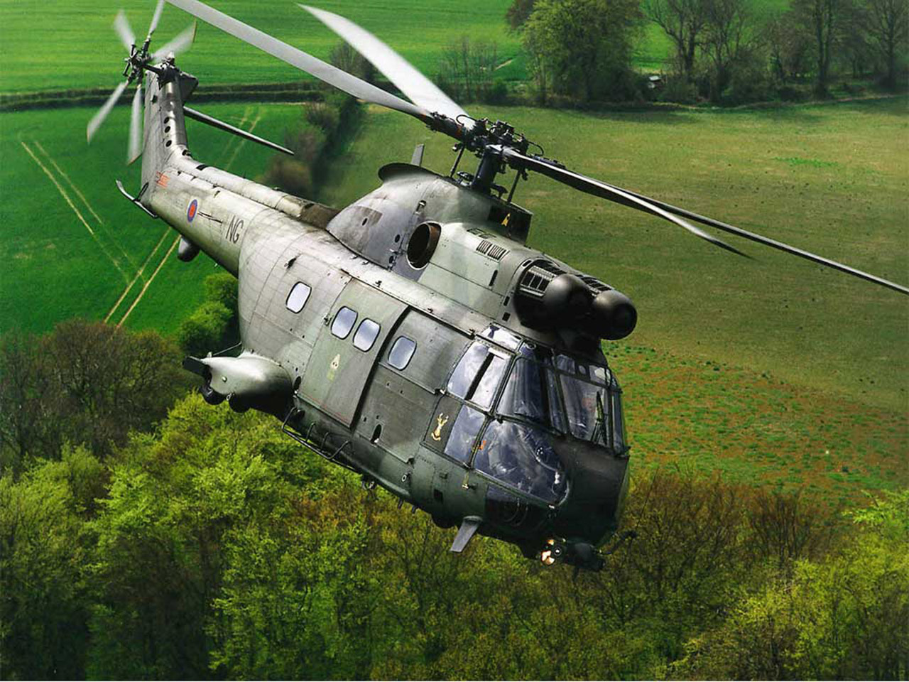  wallpaperPuma Helicopter Army and Navy Wallpaper 1280x960