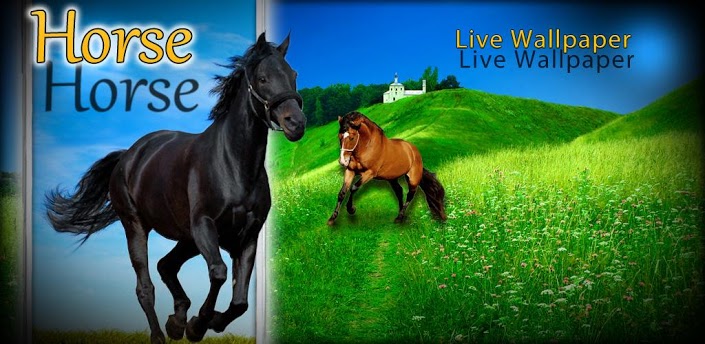 Horse Live Wallpaper HD 3d Install
