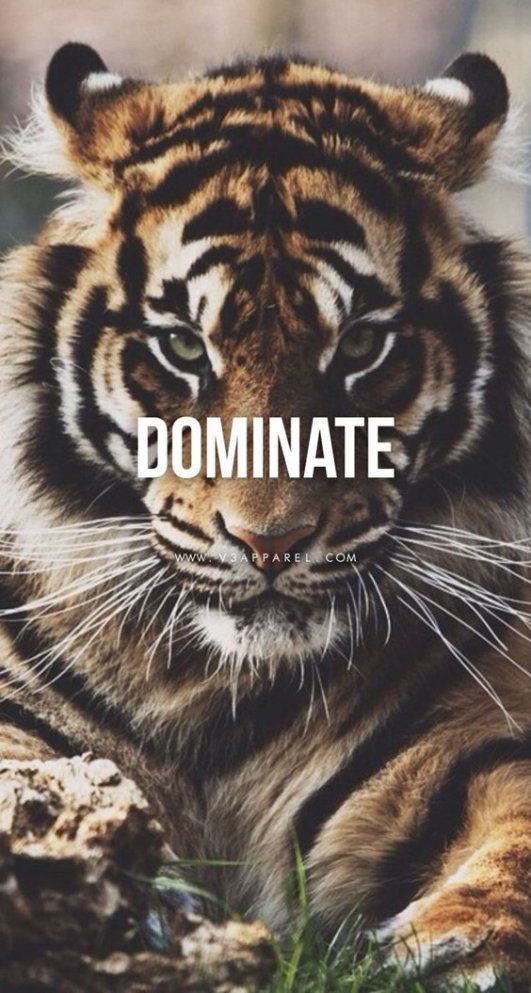 Motivational Quotes About Life And Happiness Sayings Frases