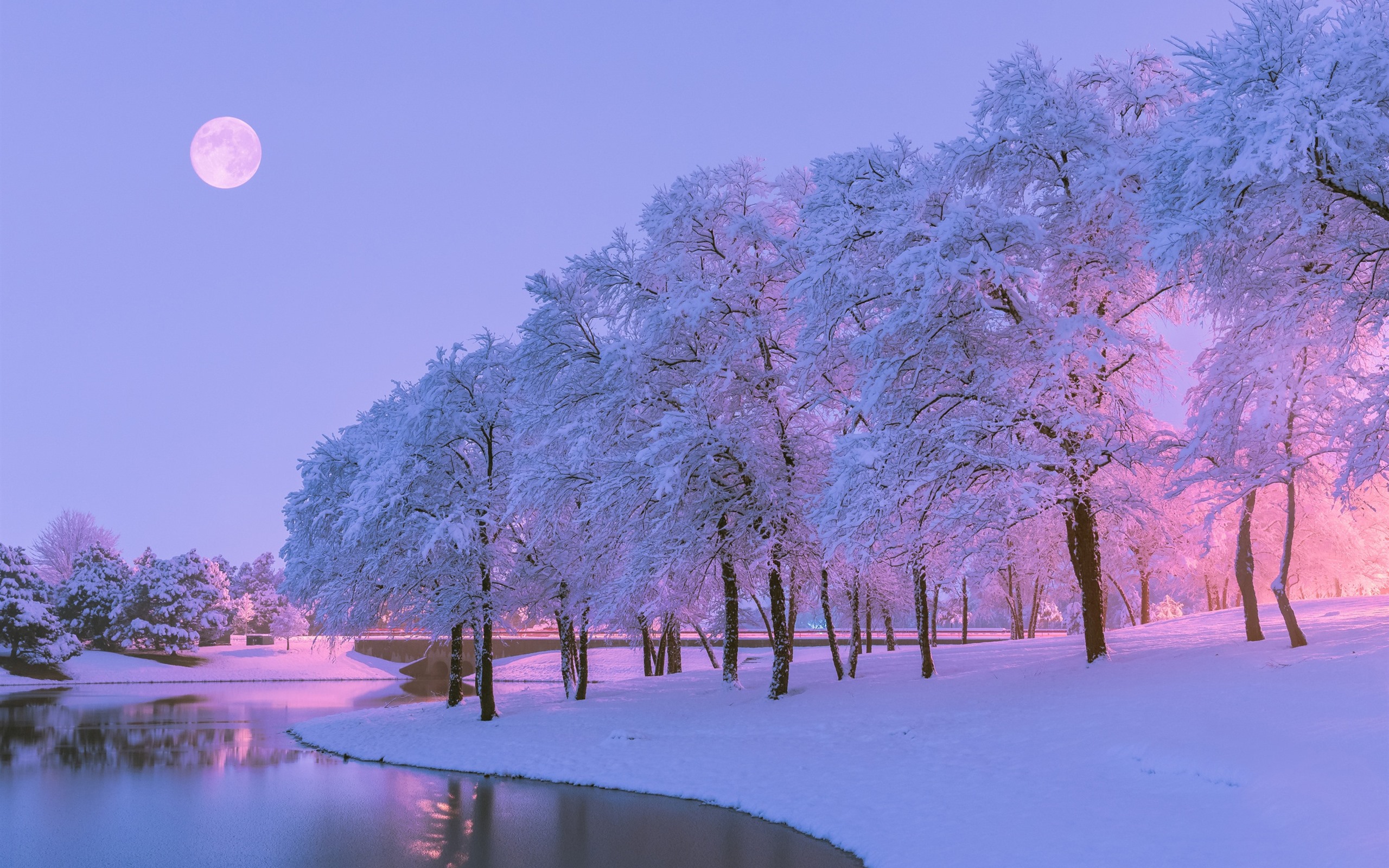 A breathtaking winter landscape at dusk, with snow-covered trees lining a serene pond reflecting the soft glow of the full moon. Winter Snow Wallpaper
