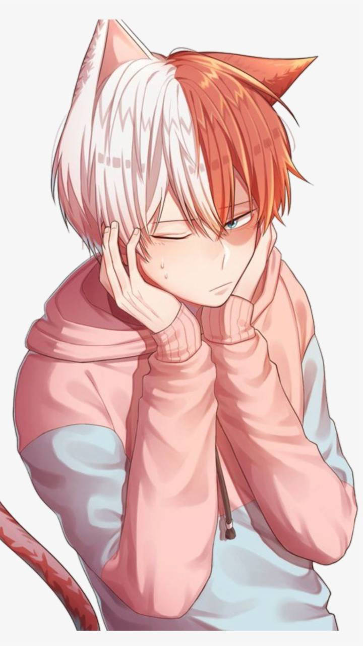 Top Todoroki Cute Wallpaper Full HD 4k To Use