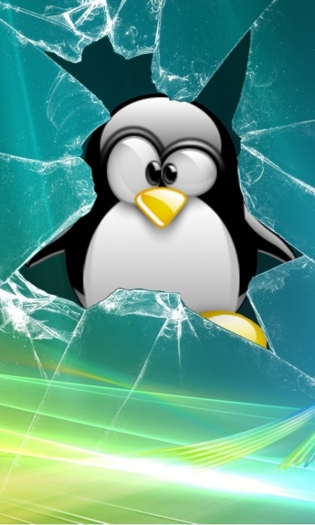 Free Penguin Wallpaper Screensavers - WallpaperSafari