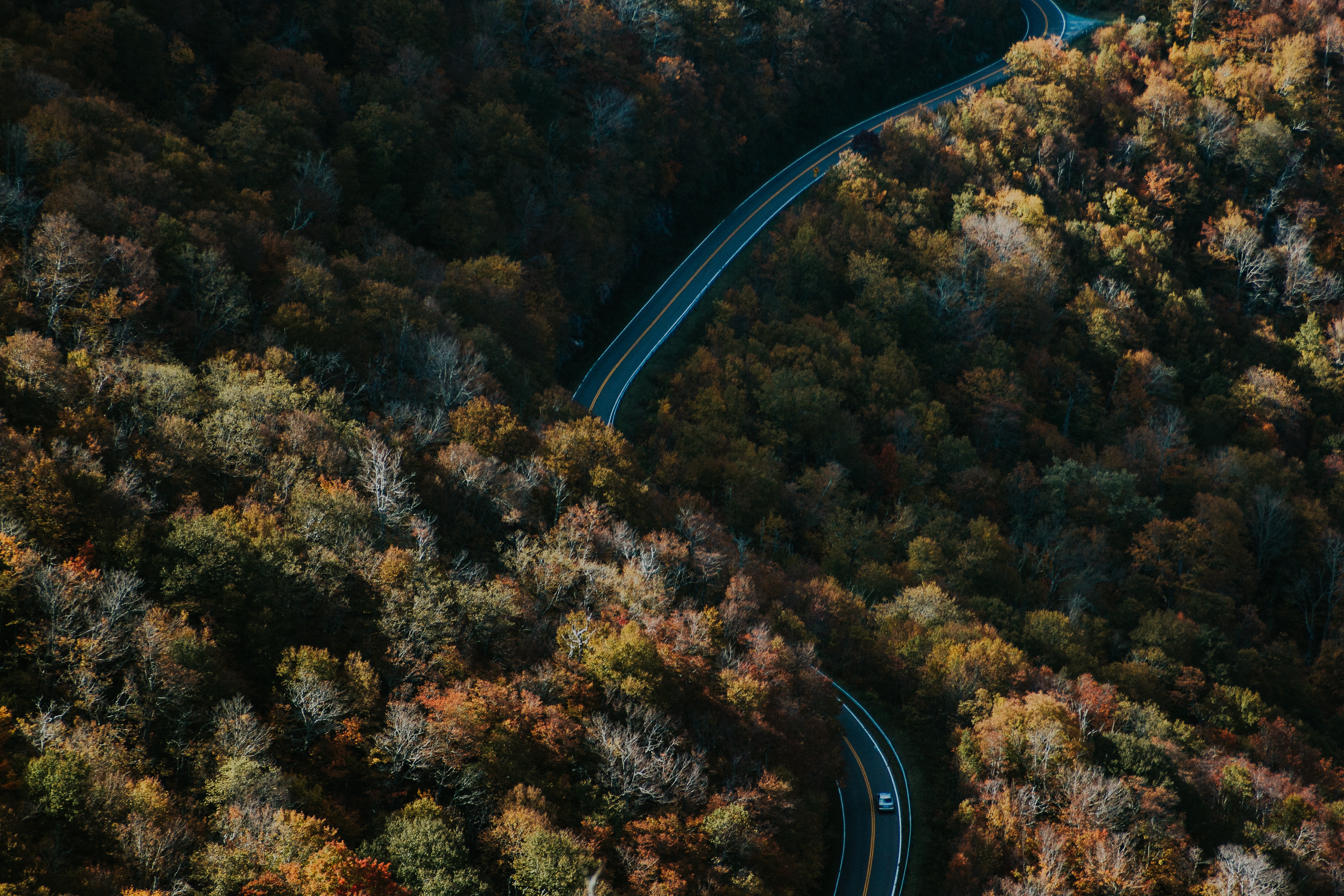 North Carolina Landscape Autumn Road