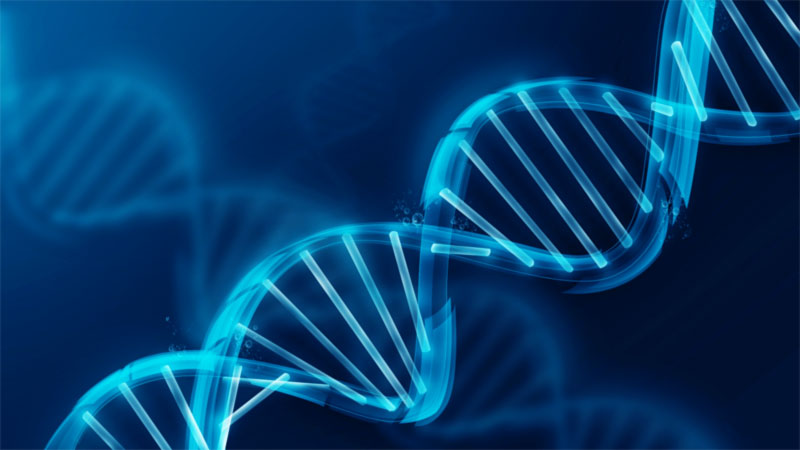 Related Pictures Dna Wallpaper For Desktop Car