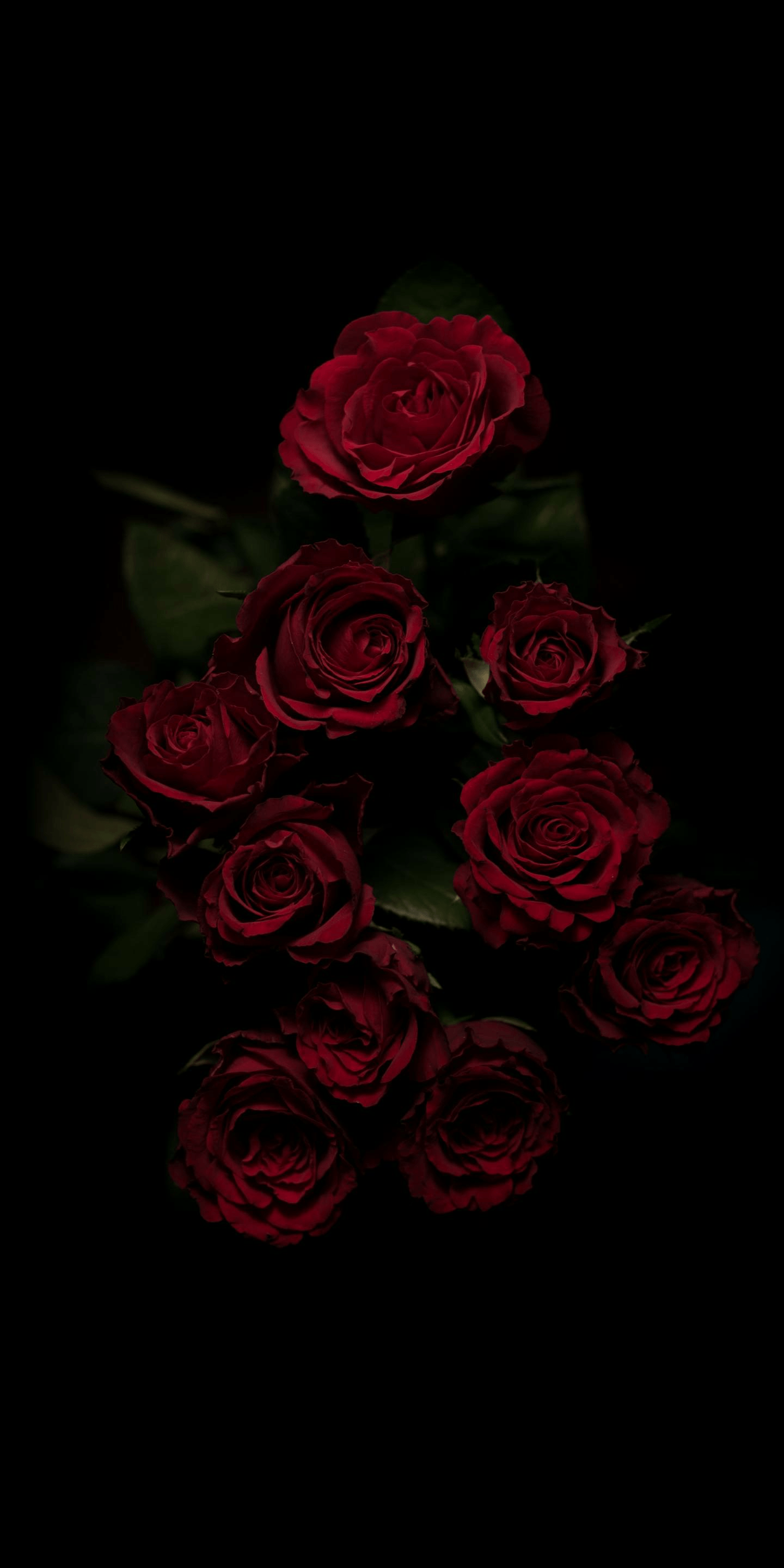 Dark Flower Aesthetic Wallpaper Top