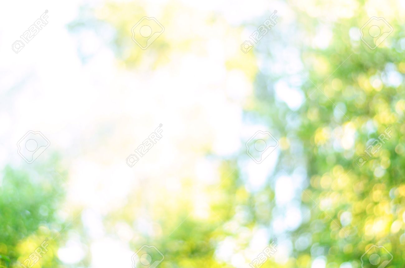 Blurred Background Of Nature Image Of Abstract Nature Blur 1300x863