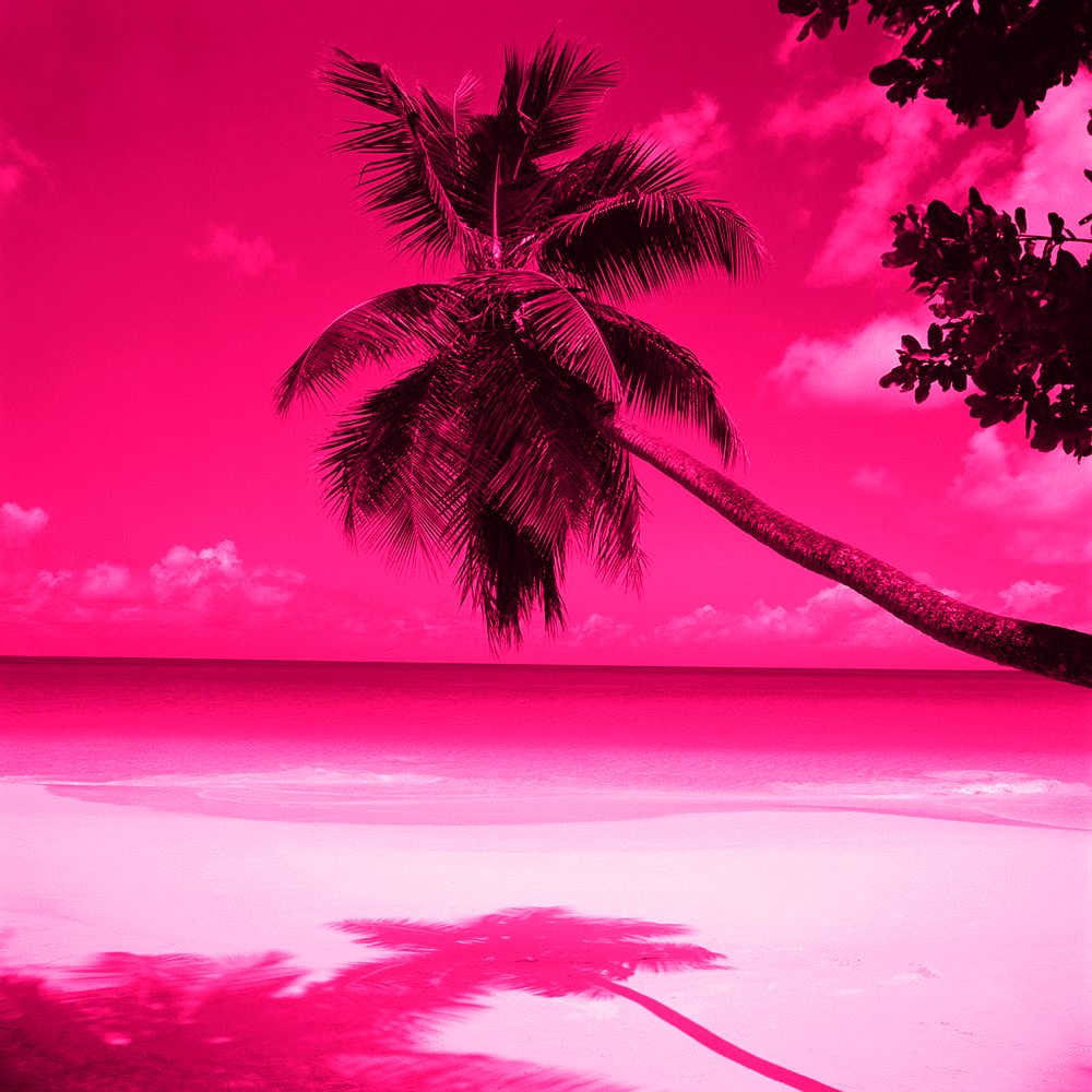 Pink Beach Sunset Wallpaper Desktop Background For