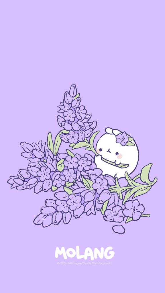Molang Flower Wallpapers Discover The Lavender Wallpaper of Molang