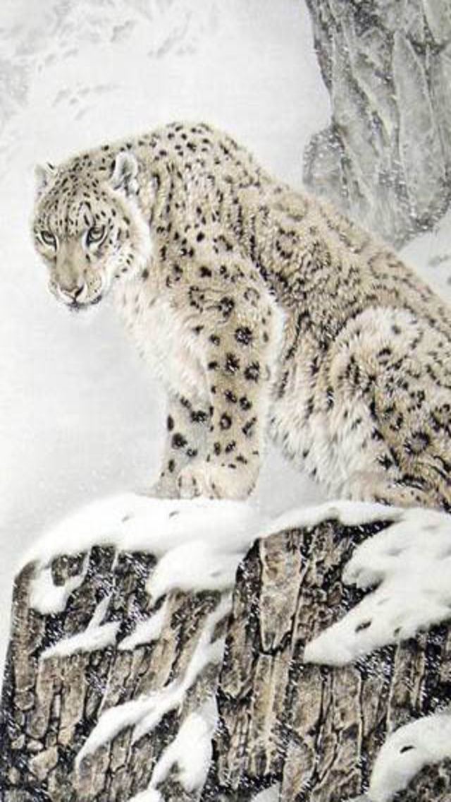 Top Snow Leopard iPhone Wallpaper HD Desktop Desktopaper