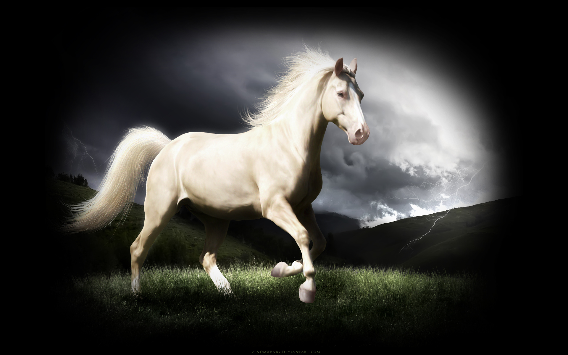 Horse Wallpaper Is A Great For Your Puter Desktop