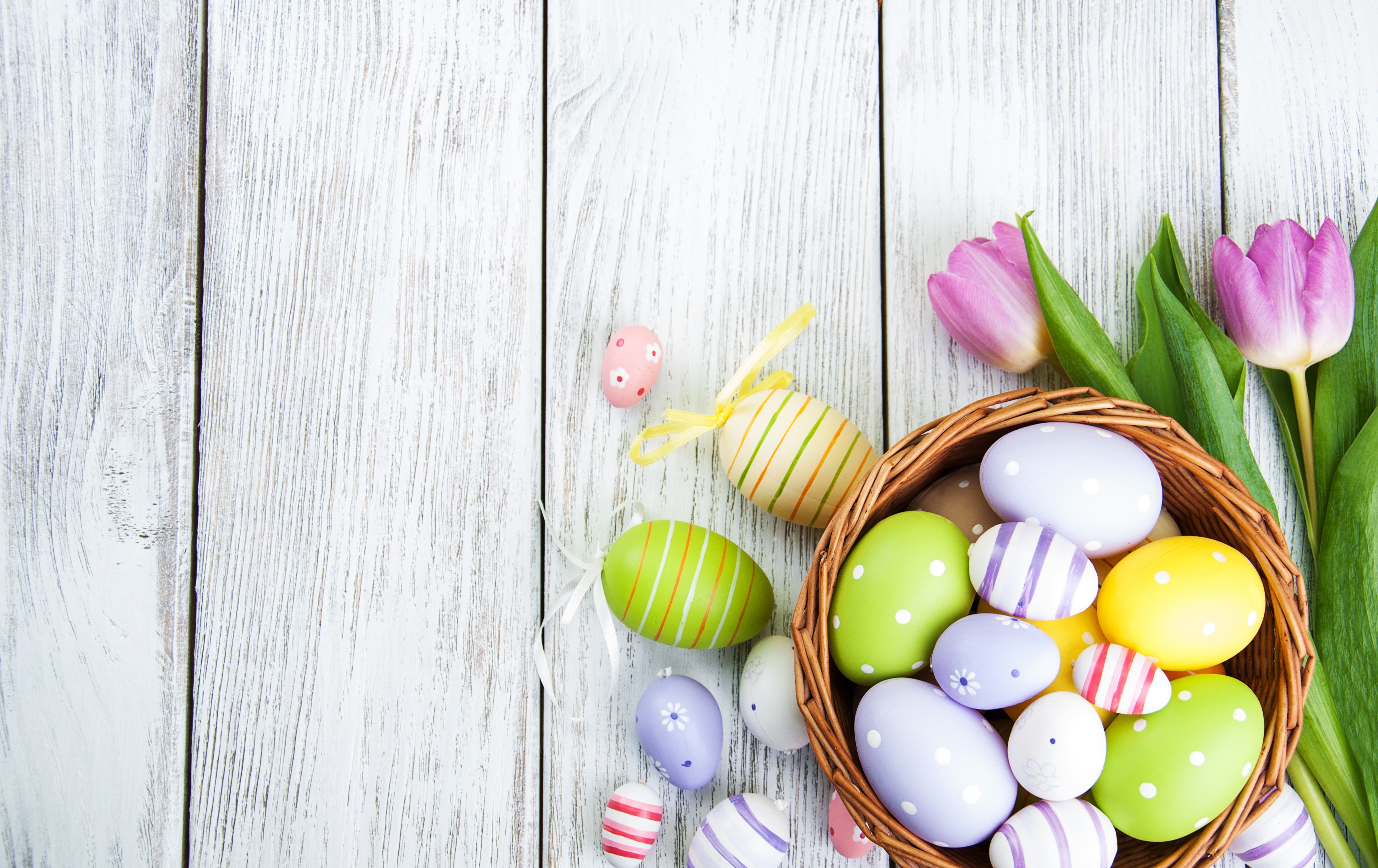 Tulips Easter Wood Planks Eggs Template Greeting Card HD Wallpaper