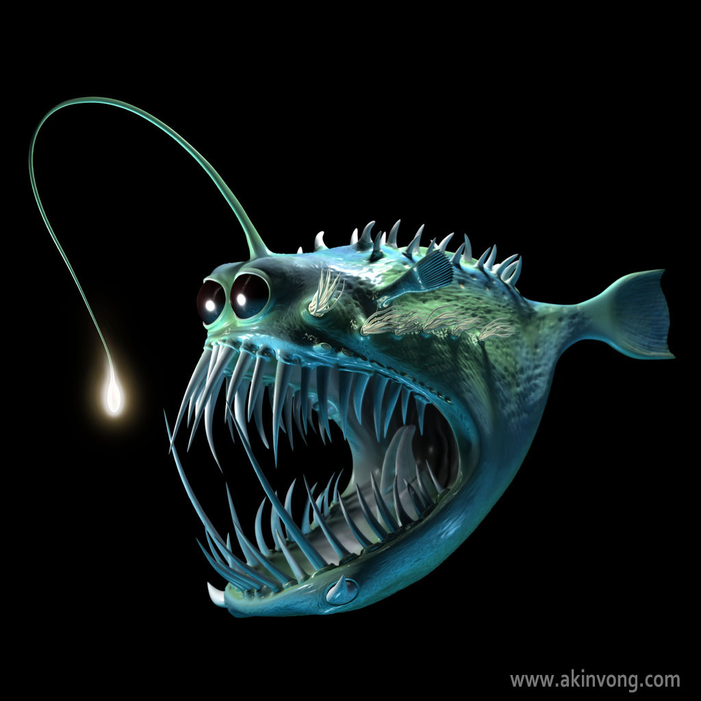Best Animals Wallpaper Angler Fish