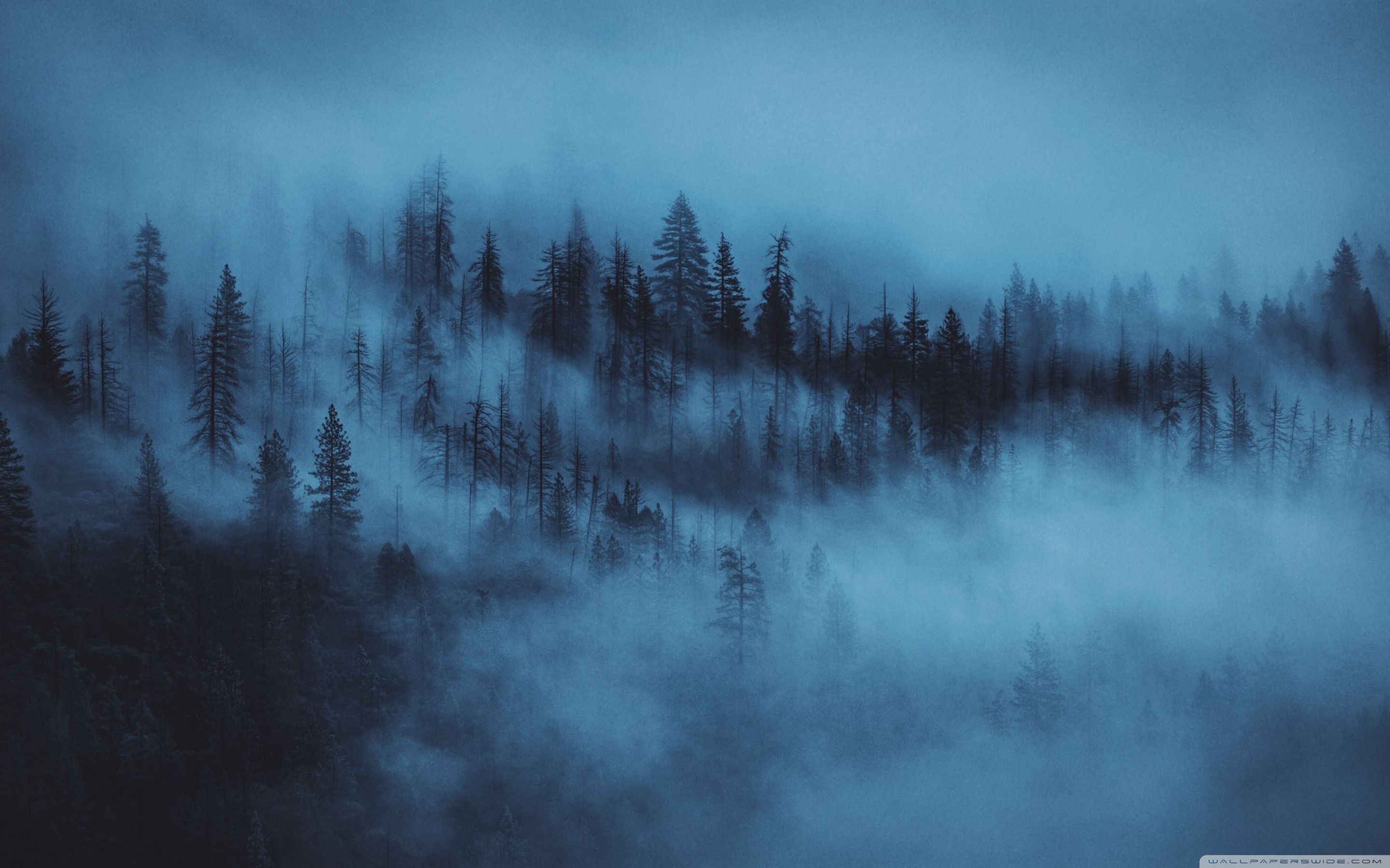 Dark Aesthetic Pc Wallpaper On