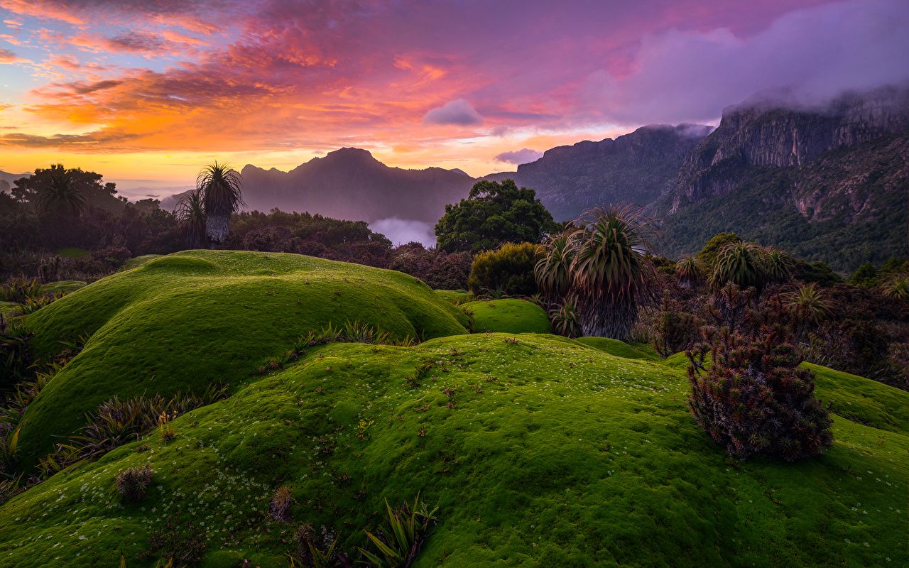 Tasmania Wallpaper Top Background