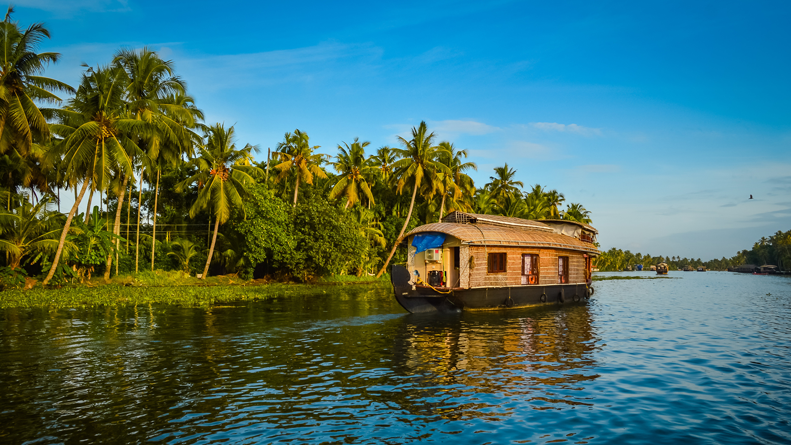 Desktop Wallpaper India Alappuzha Kerala Nature Riverboat