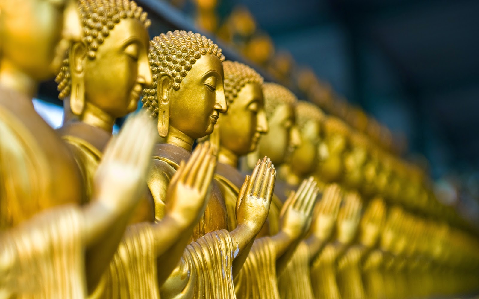 Happy Buddha Purnima HD Wallpaper And Image Buddhas In Row