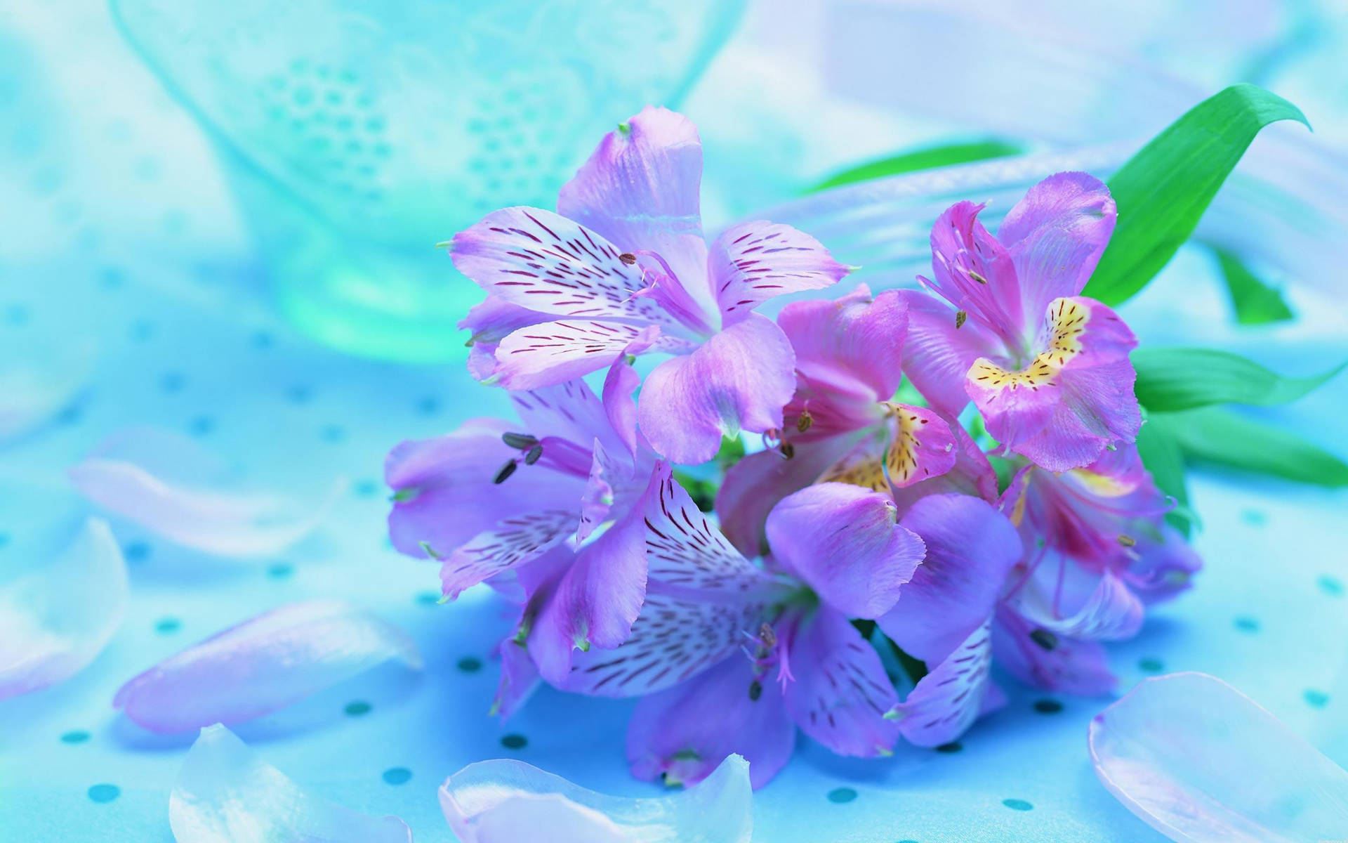 Most Beautiful Spring Wallpaper
