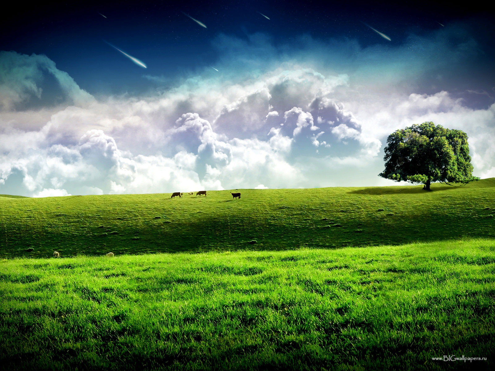 Nature Grama Wallpaper