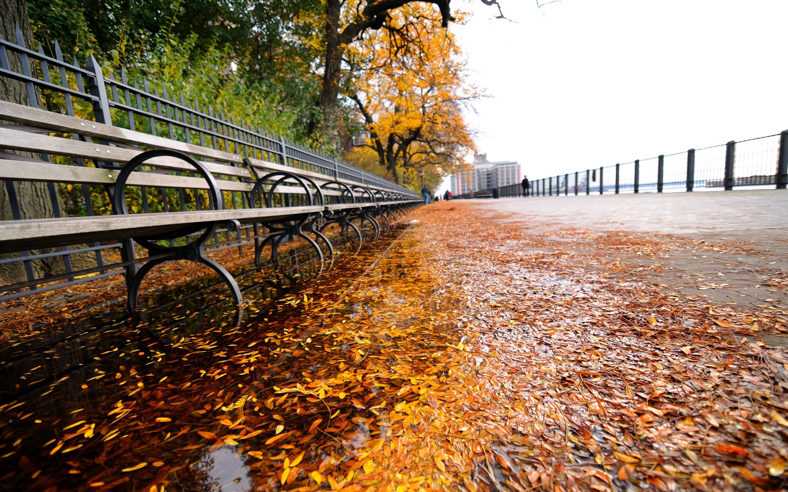 New York Waterfront Autumn Scene Desktop Wallpaper