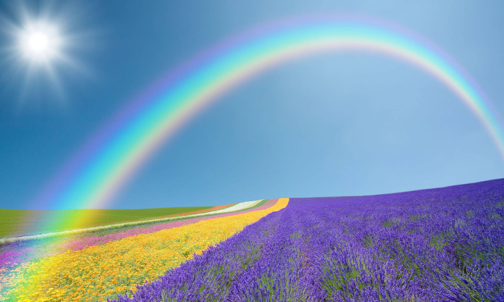 Rainbow Aesthetic Wallpaper