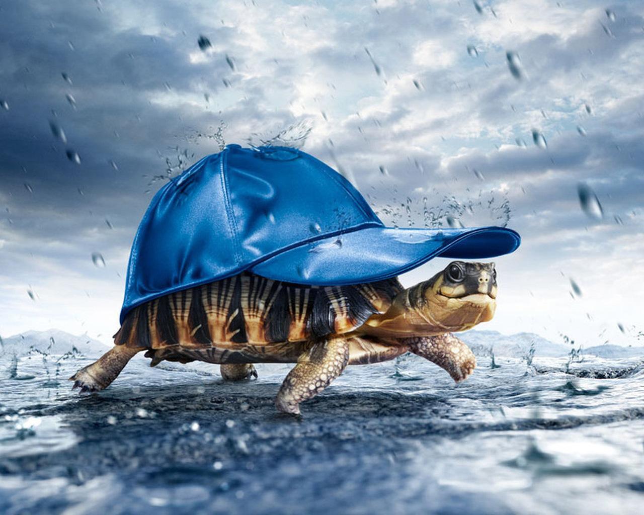 Best Funny Wallpaper HDwallpaper