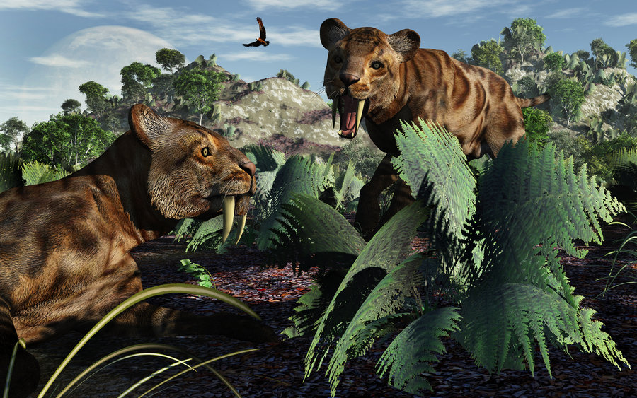 Pair Of Sabre Toothed Tigers By Maspix