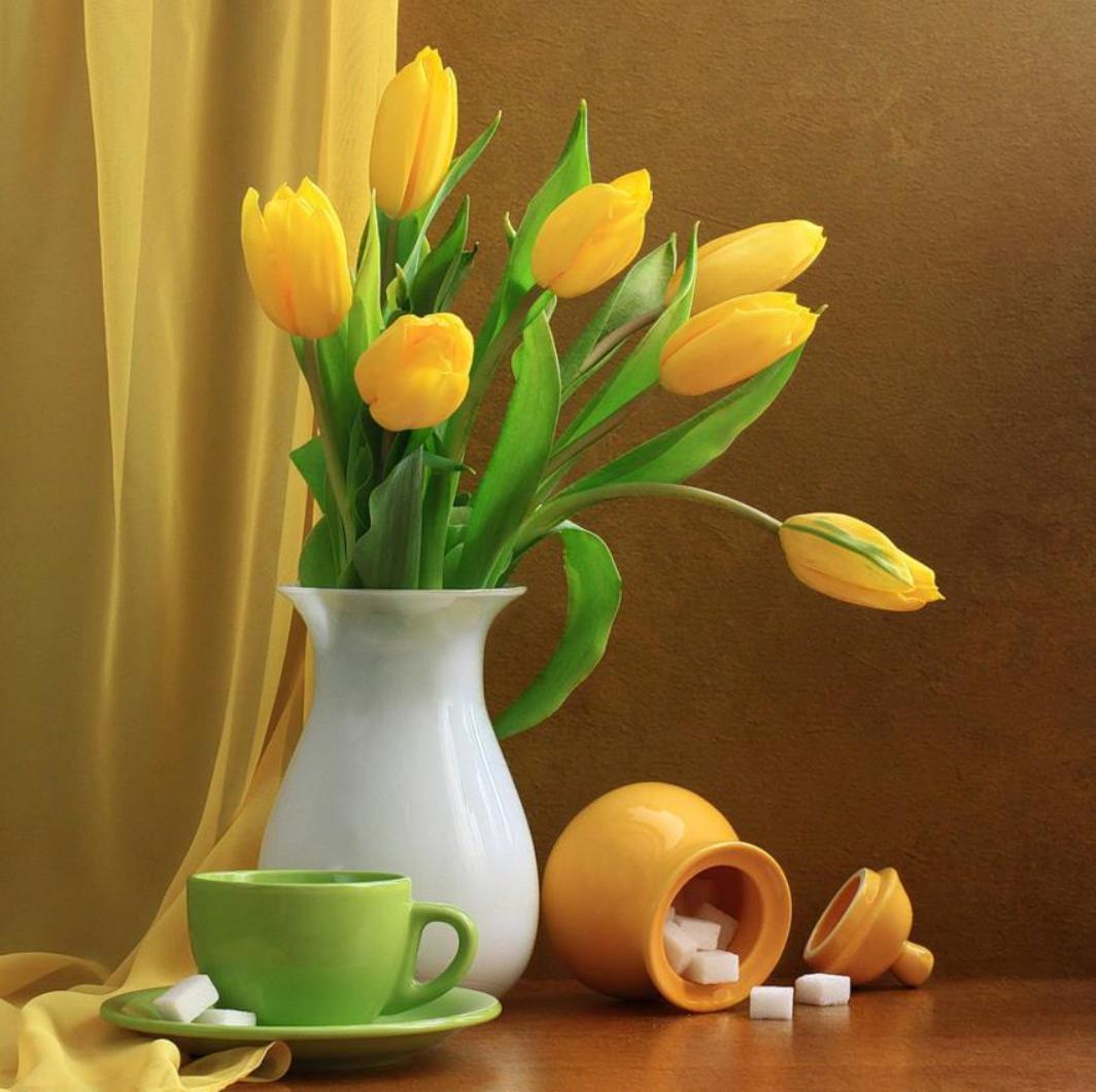 Tulips Still Life High Quality And Resolution Wallpaper