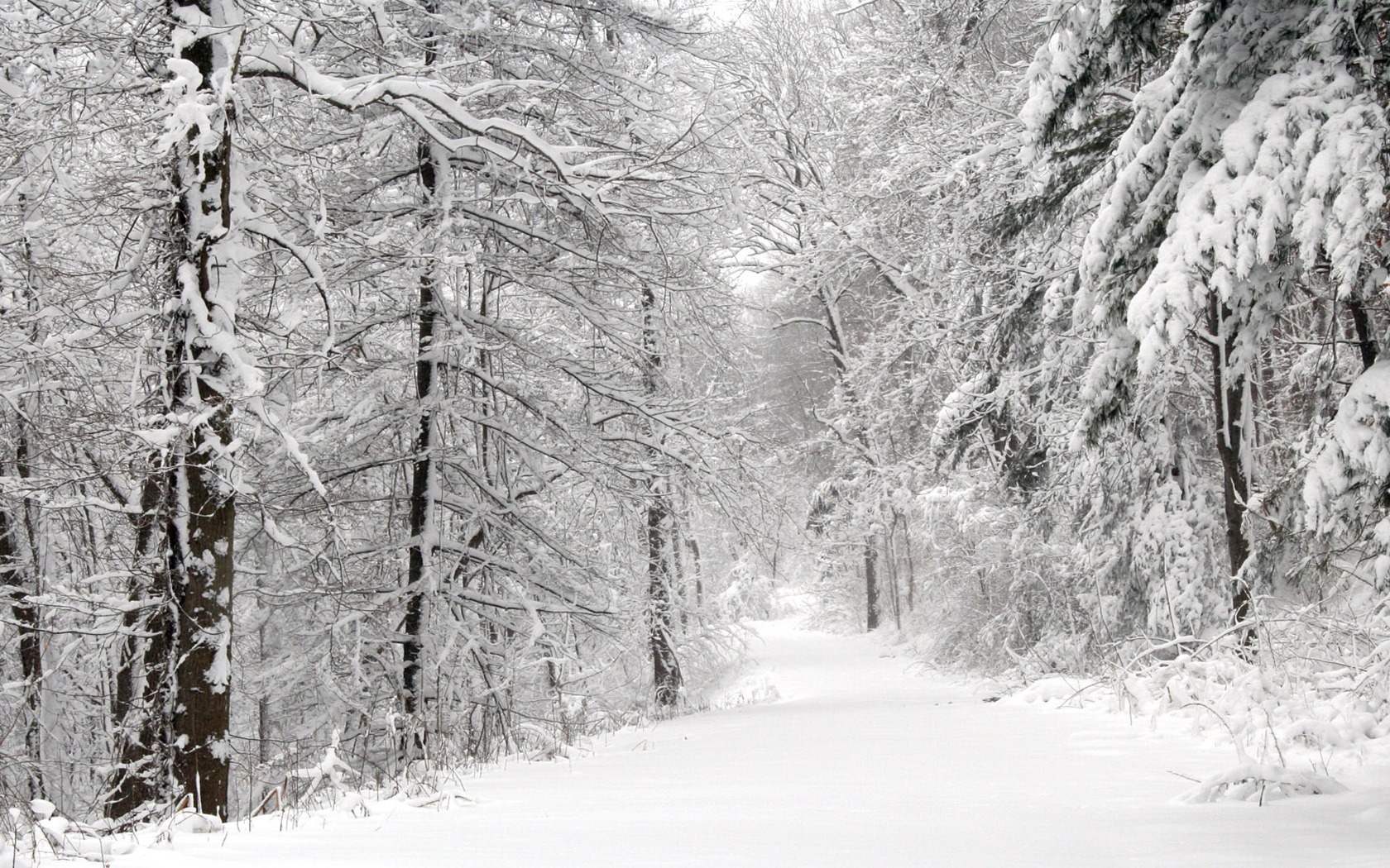 Snow Path Wallpaper Winter Nature Wallpapers in jpg format for