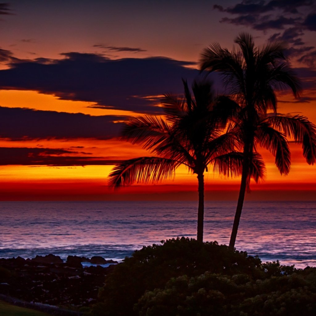 Free Download Hawaii Beach Sunset Wallpaper 1024x1024 For Your