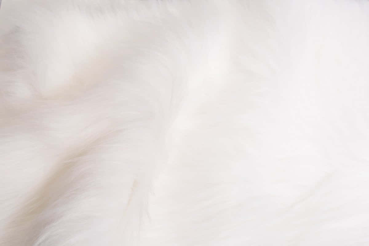 Animal Fur Picture Wallpaper