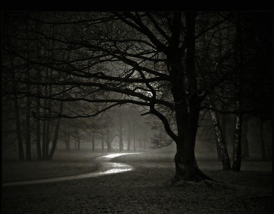 Dark Nature Wallpaper