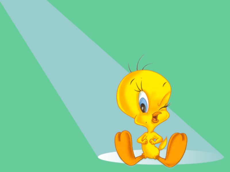 Tweety Bird Wallpaper Desktop Background Funny Doblelol