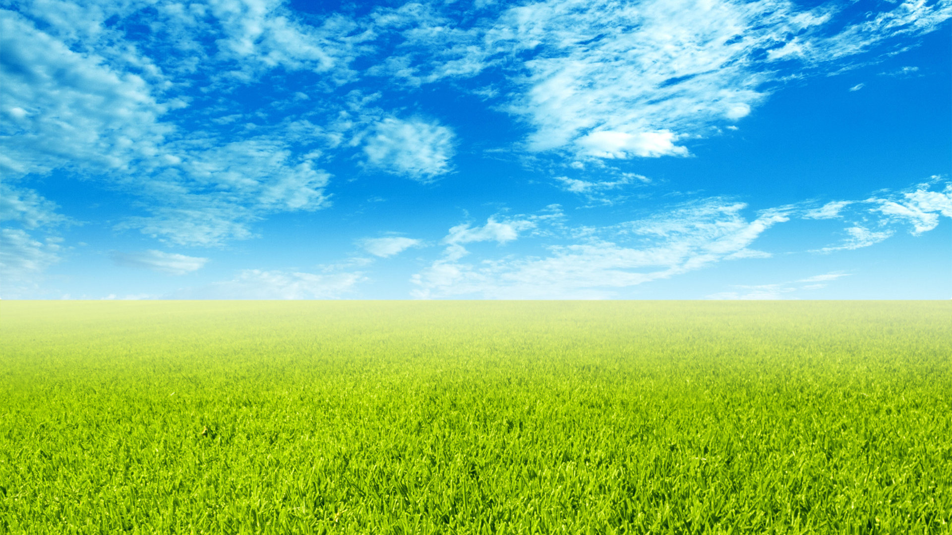 Sky Field Wallpaper