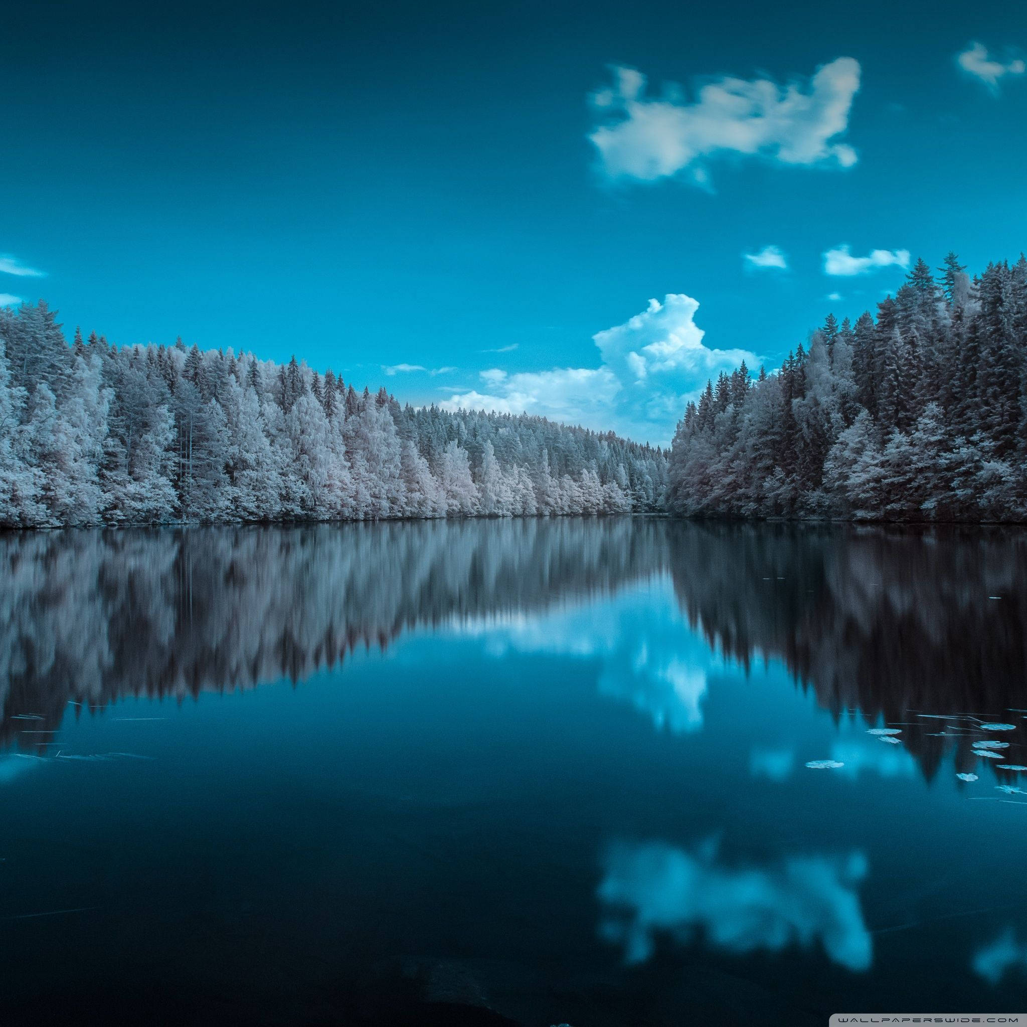 Nice Scene As Official iPad Screen P6kx3xdtp1xkhgxc Wallpaper