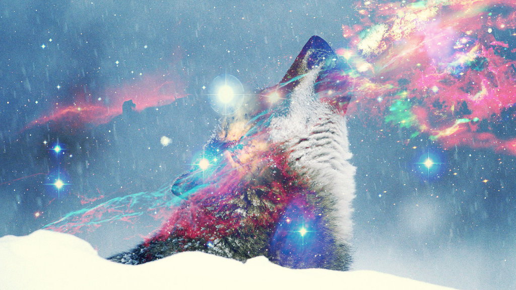 Hipster Wolf Wallpaper Cosmic By