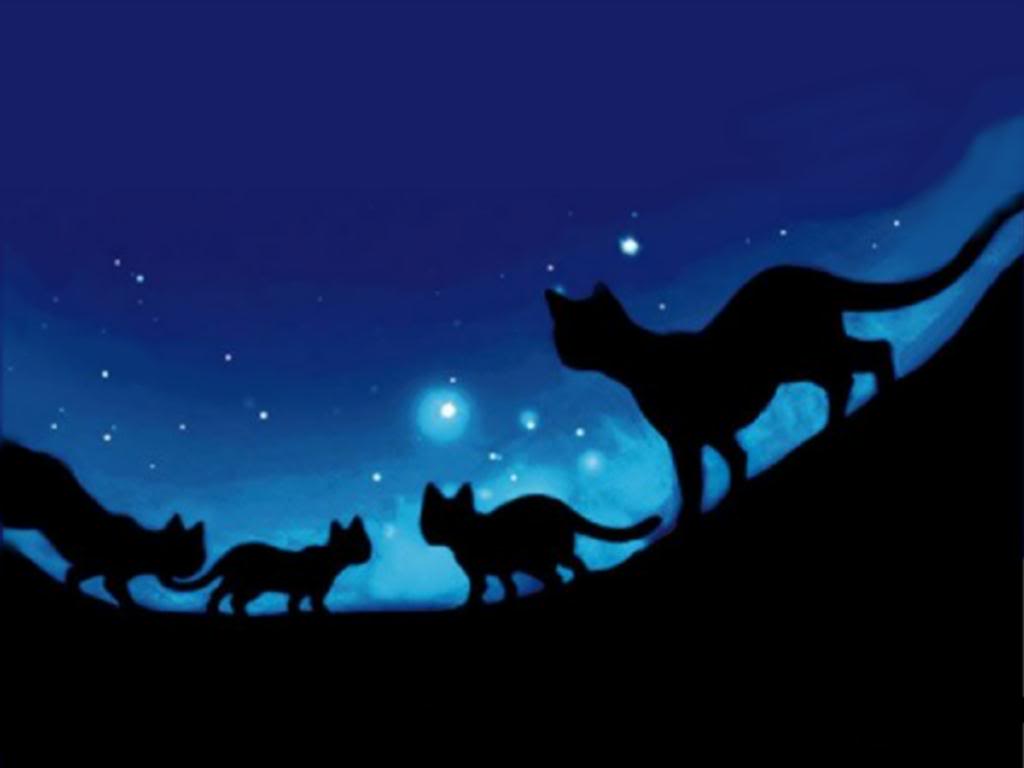 Warrior Cats Of Panther