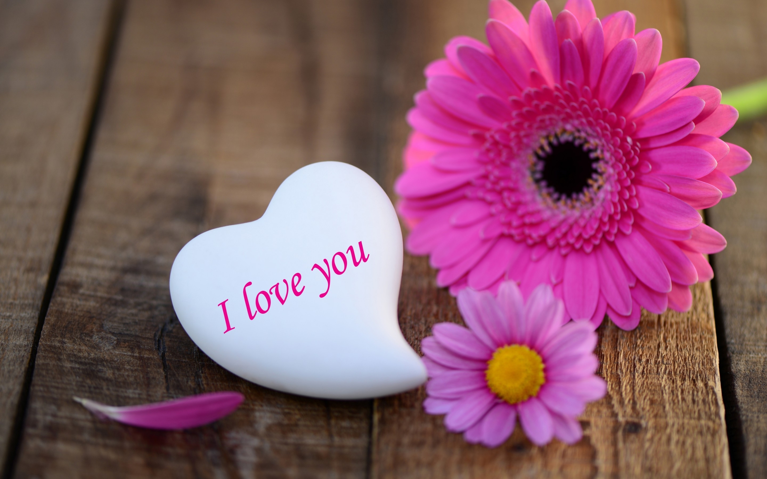 I Love You Wallpaper Pictures Image