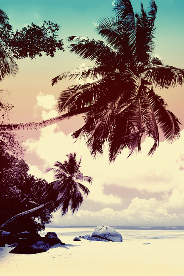 Beach And Palm Tree iPhone Wallpaper